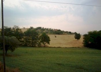 Terreno edificabile Contrada San Venanzio, Controguerra - foto 1