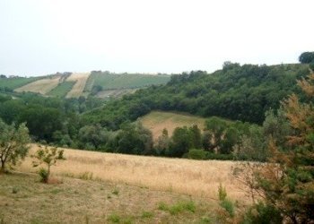 Terreno edificabile Contrada San Venanzio, Controguerra - foto 5