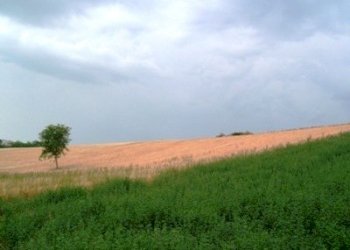 Terreno edificabile Contrada San Venanzio, Controguerra - foto 6