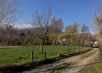Terreno - Building land strada dei Boer, Luserna San Giovanni - photo 3