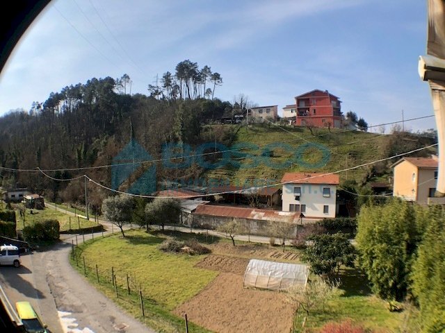 22.jpg - Porzione di casa Borgo Mitiliano 95, Vezzano Ligure - foto 1