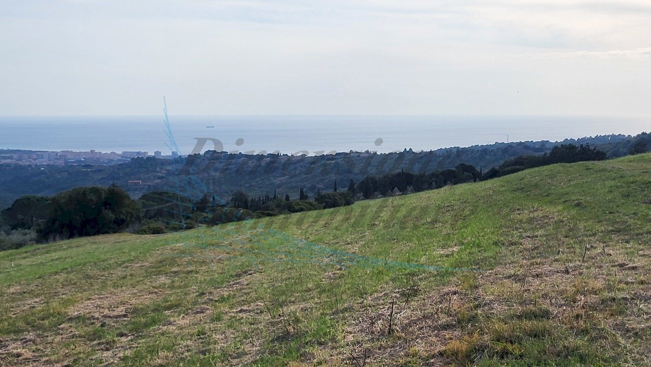 20220319_161512.jpg - Terreno agricolo Località Traversa Livornese la Maestà, Rosignano Marittimo - foto 2