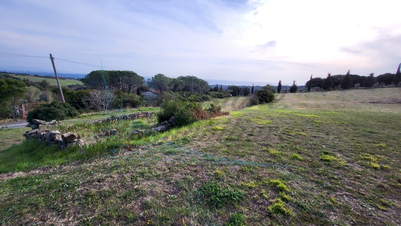 20220319_162315.jpg - Terreno agricolo Località Traversa Livornese la Maestà, Rosignano Marittimo - foto 3