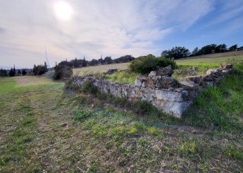 20220319_162339.jpg - Terreno agricolo Località Traversa Livornese la Maestà, Rosignano Marittimo - foto 1