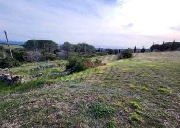 20220319_162315.jpg - Terreno agricolo Località Traversa Livornese la Maestà, Rosignano Marittimo - foto 3