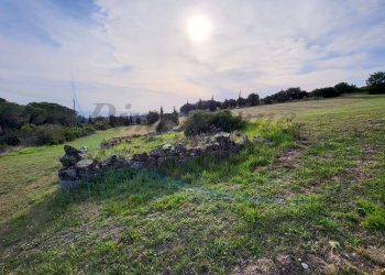 20220319_162325.jpg - Terreno agricolo Località Traversa Livornese la Maestà, Rosignano Marittimo - foto 4