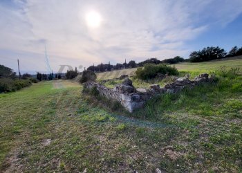 20220319_162332.jpg - Terreno agricolo Località Traversa Livornese la Maestà, Rosignano Marittimo - foto 5