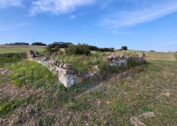 20220319_162354.jpg - Terreno agricolo Località Traversa Livornese la Maestà, Rosignano Marittimo - foto 6