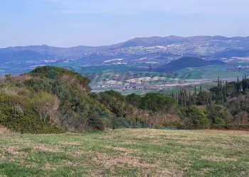20220319_161441.jpg - Terreno agricolo Località Traversa Livornese la Maestà, Rosignano Marittimo - foto 7