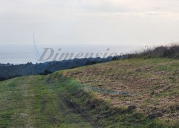20220319_161428.jpg - Terreno agricolo Località Traversa Livornese la Maestà, Rosignano Marittimo - foto 8