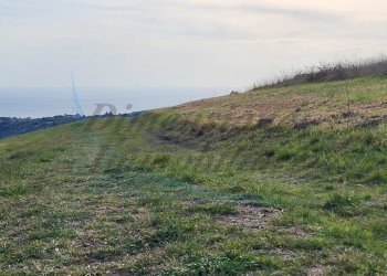 20220319_161449.jpg - Terreno agricolo Località Traversa Livornese la Maestà, Rosignano Marittimo - foto 9