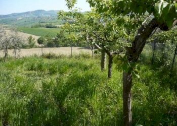 Casa indipendente via Vomano, Bellante - foto 26