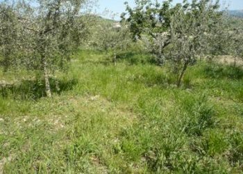 Casa indipendente via Vomano, Bellante - foto 27