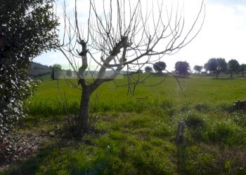 Rustico strada provinciale, Torano Nuovo - foto 2