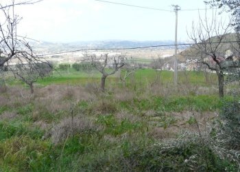 Rustico strada provinciale, Torano Nuovo - foto 6