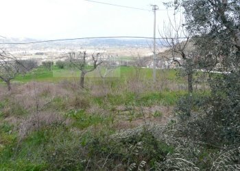 Rustico strada provinciale, Torano Nuovo - foto 7