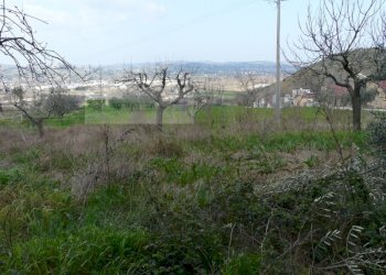 Rustico strada provinciale, Torano Nuovo - foto 9