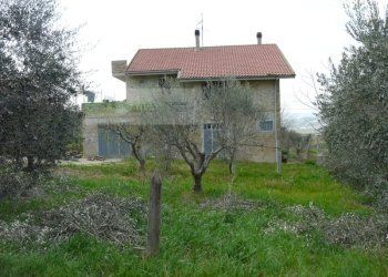 Rustico strada provinciale, Torano Nuovo - foto 18