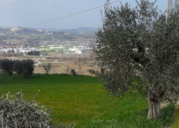 Rustico strada provinciale, Torano Nuovo - foto 25