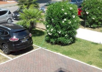 Quadrilocale via dei pioppi, Martinsicuro - foto 27