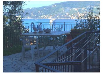 1.jpg - Appartamento Zoagli - foto 2