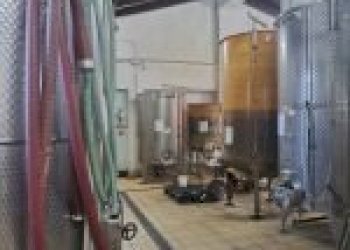 Agricultural land Canelli - photo 13