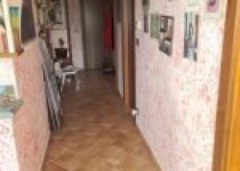 Agricultural land Canelli - photo 30