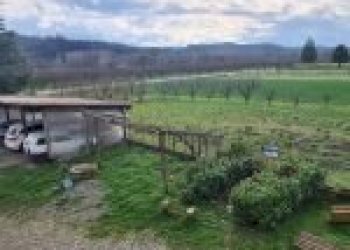 Agricultural land Canelli - photo 39