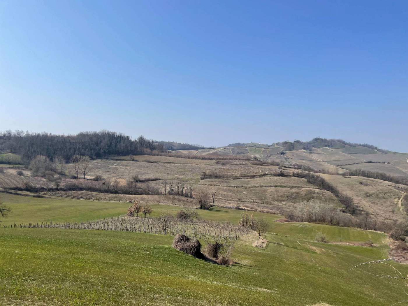 TERRENO COLLINARE A CORPO UNICO - Terreno agricolo Montemarzino - foto 1