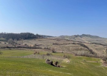 TERRENO COLLINARE A CORPO UNICO - Terreno agricolo Montemarzino - foto 1