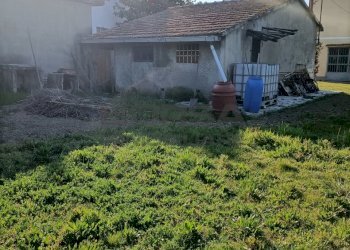 IMG20220323083939.jpg - Trilocale Via del Valico a Pisa, Collesalvetti - foto 2