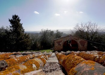 CASALE DA RISTRUTTURARE IN TOSCANA  (21).jpg - Casale Via del Vallone 49, Certaldo - foto 13