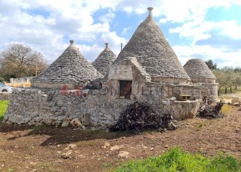 20220312_112141.jpg - Baita Strada Paretone Zona I 363, Martina Franca - photo 8