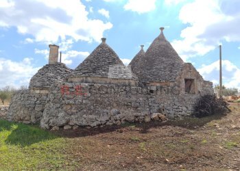 20220312_112158.jpg - Baita Strada Paretone Zona I 363, Martina Franca - photo 9