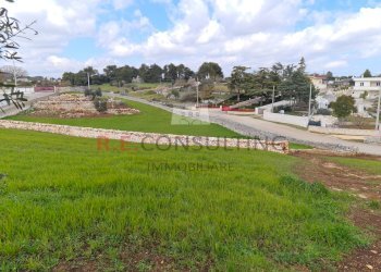 20220312_112536.jpg - Baita Strada Paretone Zona I 363, Martina Franca - photo 14