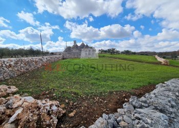 20220312_112726.jpg - Baita Strada Paretone Zona I 363, Martina Franca - photo 15