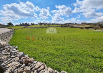 20220312_113349.jpg - Baita Strada Paretone Zona I 363, Martina Franca - photo 18