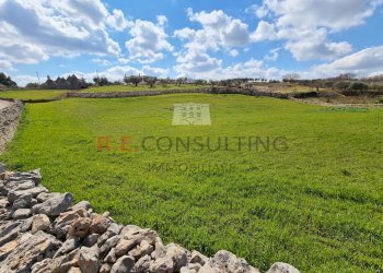 20220312_113357.jpg - Baita Strada Paretone Zona I 363, Martina Franca - photo 19