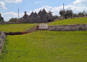 20220312_113410.jpg - Baita Strada Paretone Zona I 363, Martina Franca - photo 20