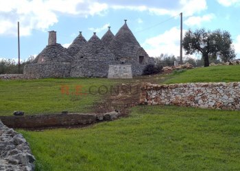 20220312_113542.jpg - Baita Strada Paretone Zona I 363, Martina Franca - photo 22