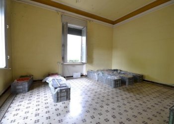 7672(2).jpg - Villa gerani, Lucca - foto 1