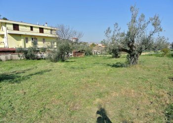 Terreno edificabile VIA FONTE  CESIA, Montesilvano - foto 7