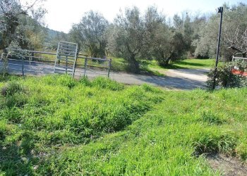 Terreno edificabile VIA FONTE  CESIA, Montesilvano - foto 10