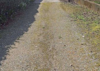 Terratetto - Terracielo Magliano Alpi - foto 26