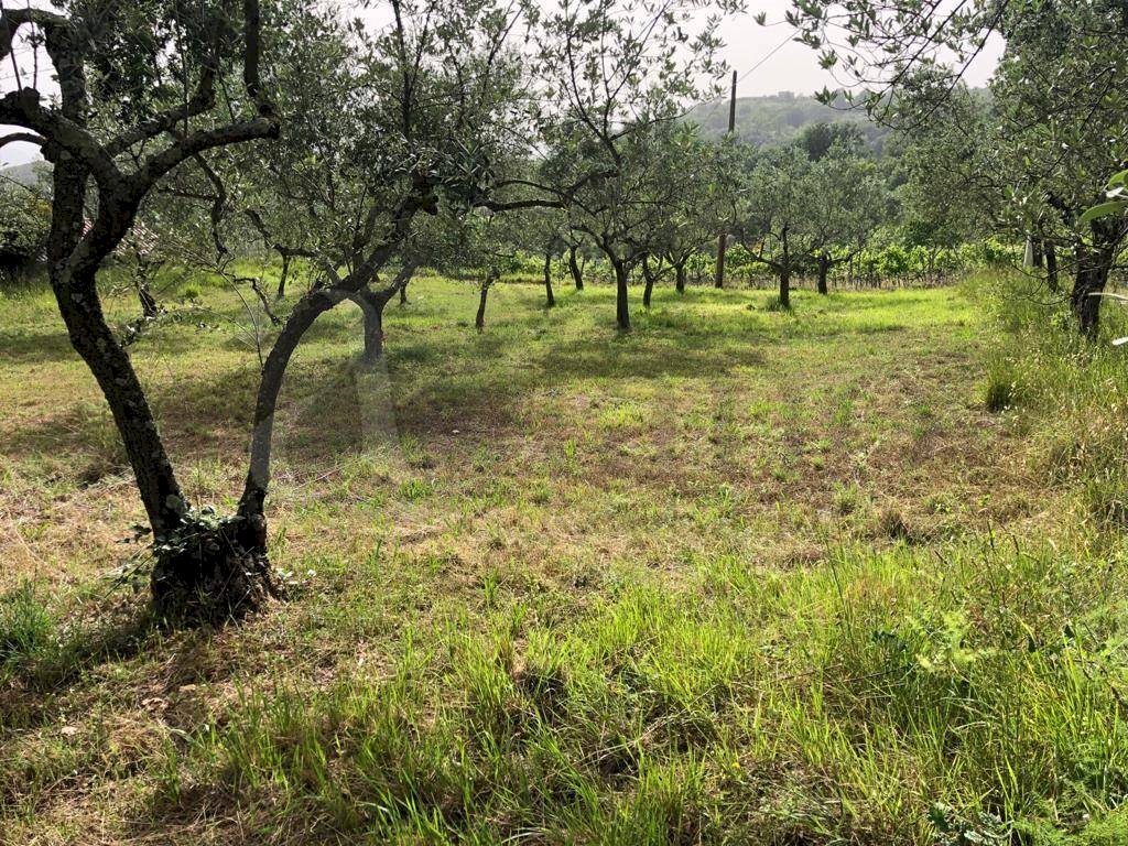 Rustico Via vallemammoli, Santopadre - foto 3