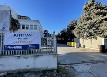 IMG_5625.JPG - Ufficio Falconara Marittima - foto 2