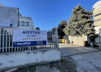 IMG_5621.JPG - Ufficio Falconara Marittima - foto 15