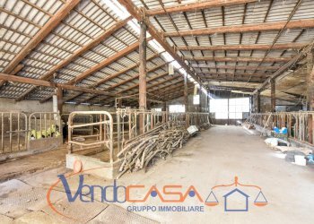 Rustico Torino - foto 11