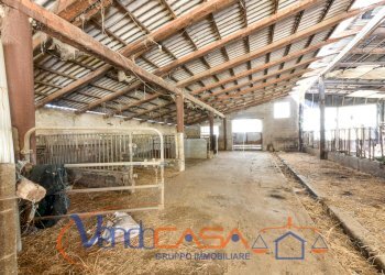 Rustico Torino - foto 12