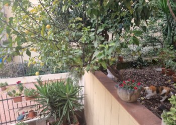 Quadrilocale corso MONTEGRAPPA, Genova (zona Centro) - foto 9